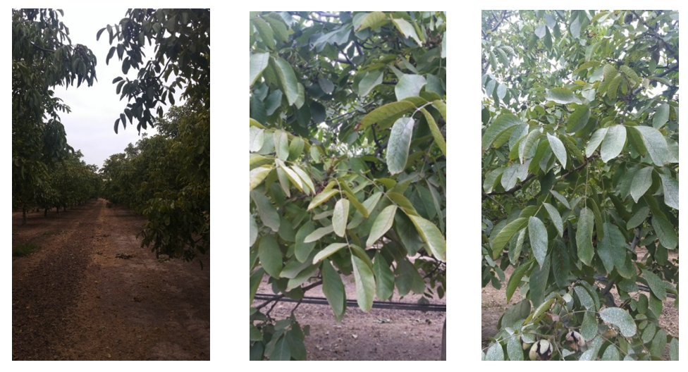 Captura de pantalla 2025-11-25 a la(s) 10.51.12 a.m.