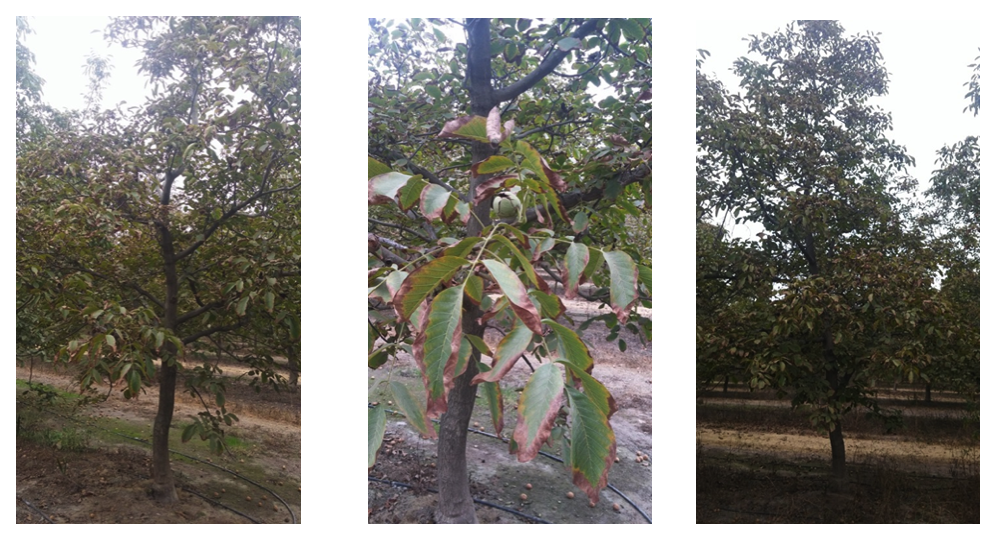 Captura de pantalla 2025-11-25 a la(s) 10.51.50 a.m.