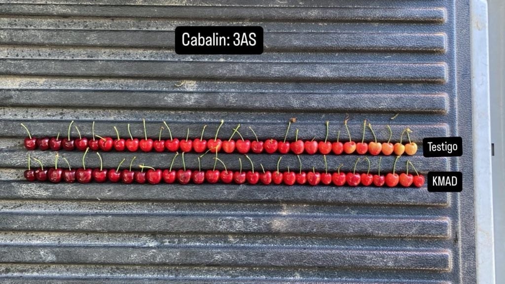 WhatsApp-Image-2025-10-24-at-08.30.54-1-576x1024